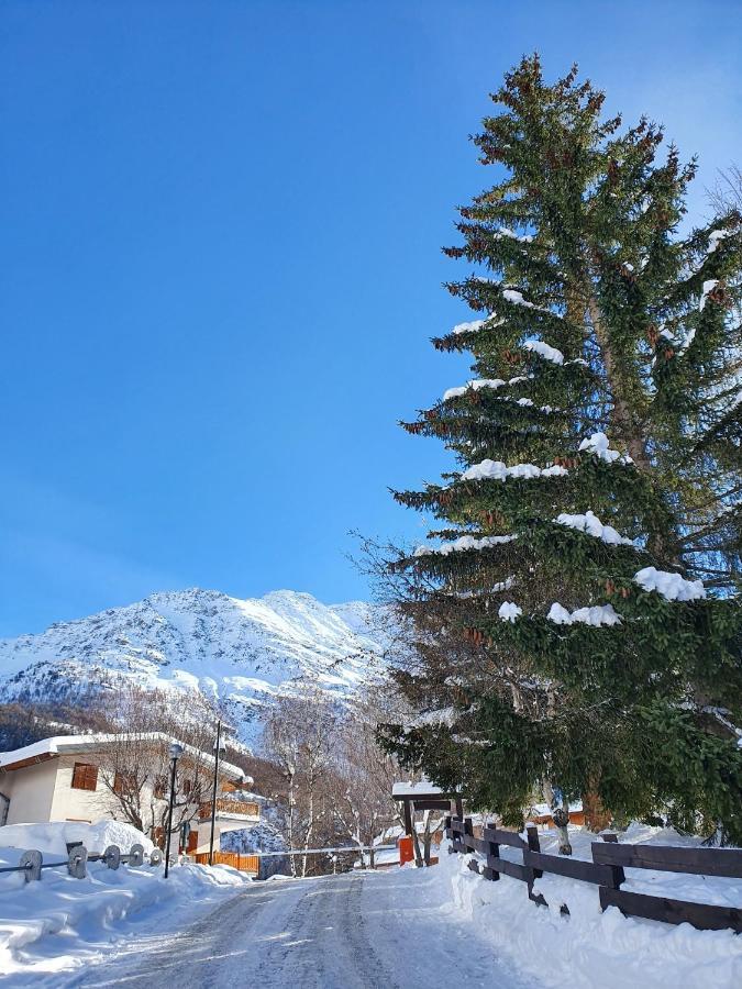 La Casa Di Matilde - Trilocale Vicinissimo Alle Piste Da Sci La Thuile Luaran gambar